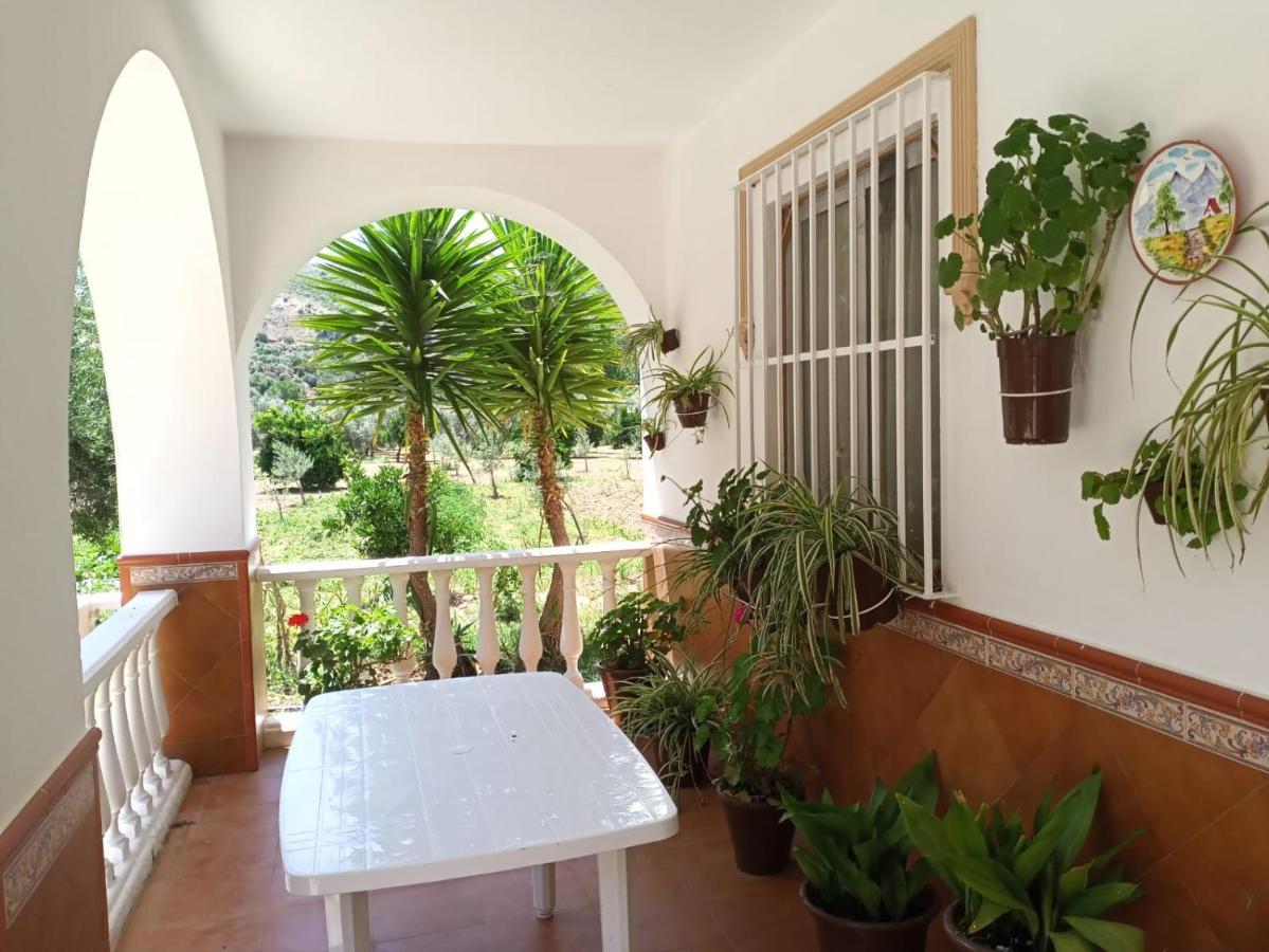 Casa Las Vicarias Olvera Exteriér fotografie
